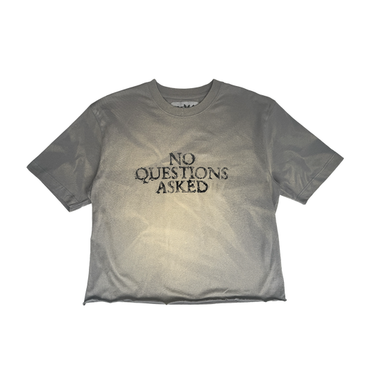 2 NO QUESTIONS GREY